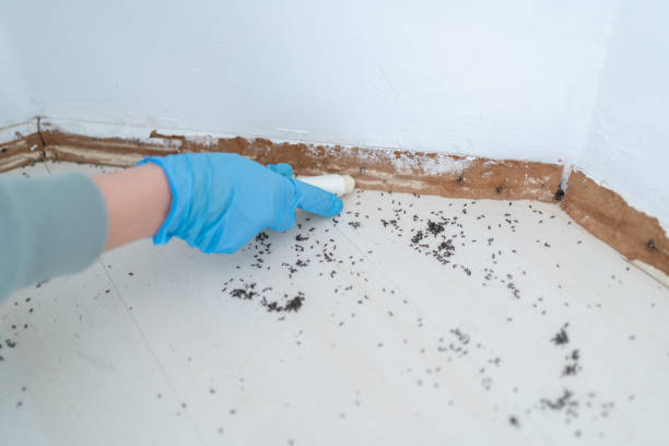 Wildlife Control Services in Cayce, SC
